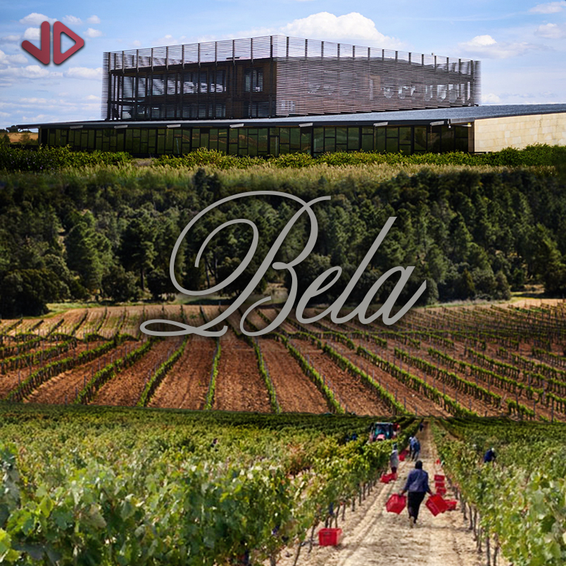 Bela (D.O. Ribera del Duero) – Cata con Sara Juan